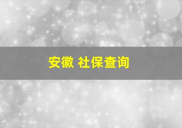 安徽 社保查询